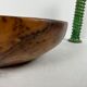 Xxl dish in tuya root