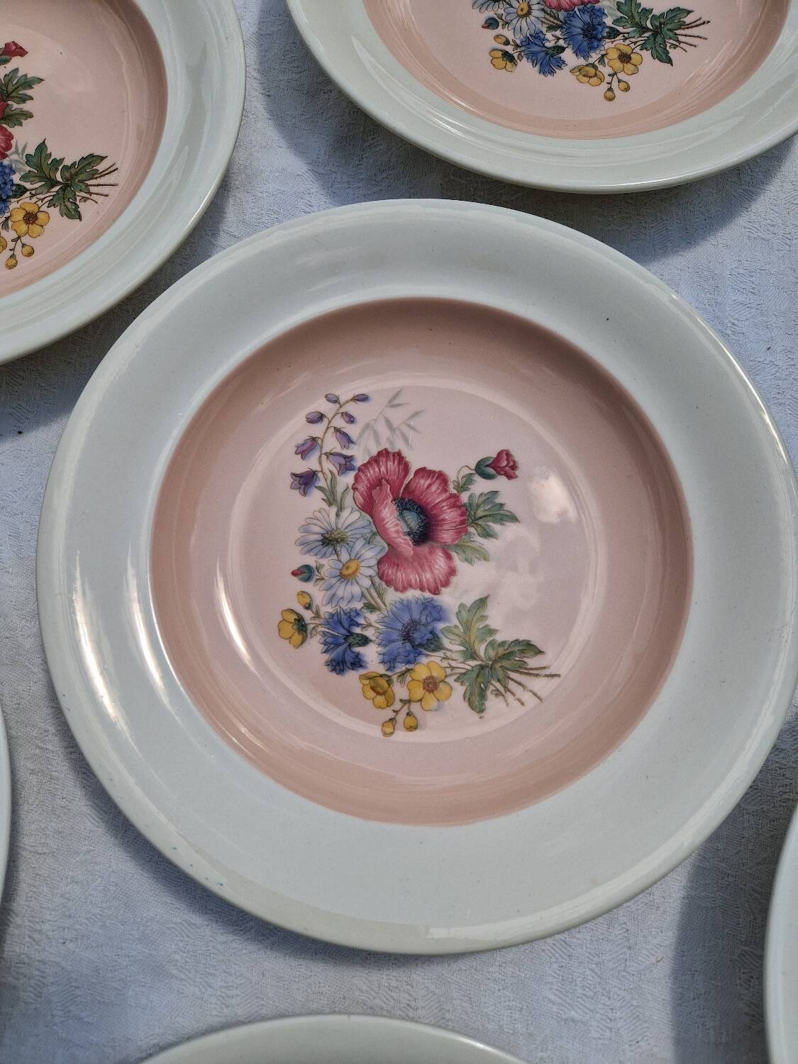10 Vintage Villeroy & Boch Soup Plates Model 1584