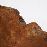 Grand bol en bois de racine organique, France, années 1950