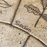 Sedim herbarium coffee table