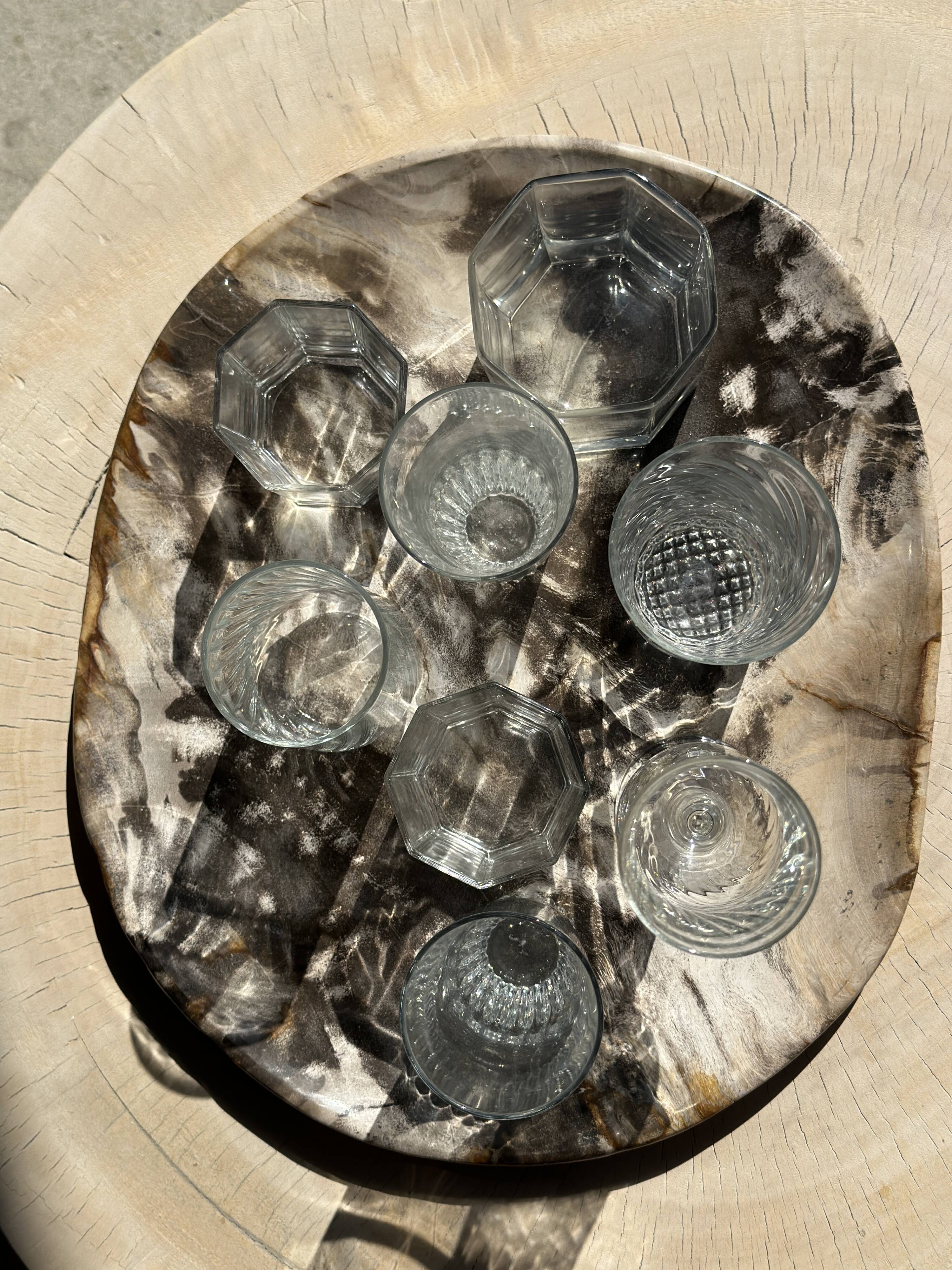 Very large pocket or dish in petrified wood