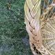 Children's wicker chair