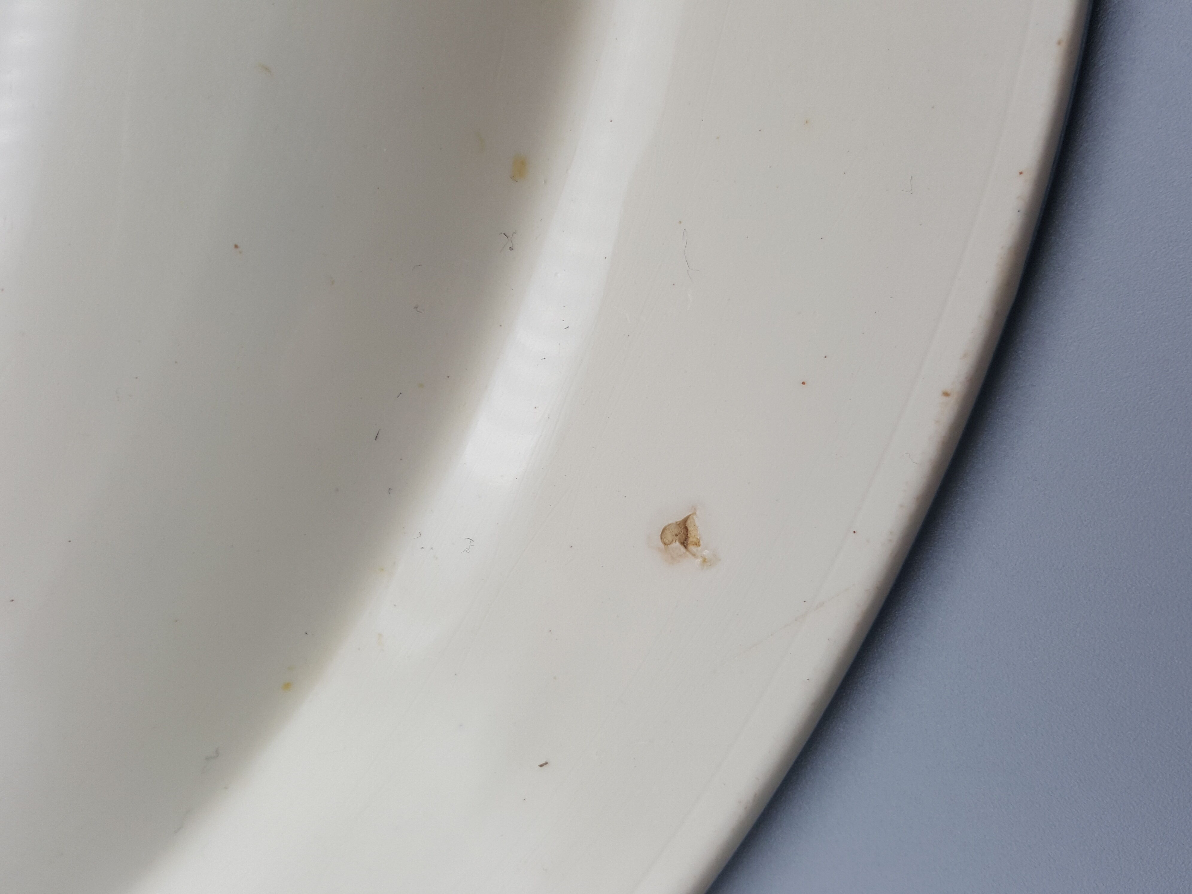 hollow serving dish François 1st dragon salamander iron earth Salins