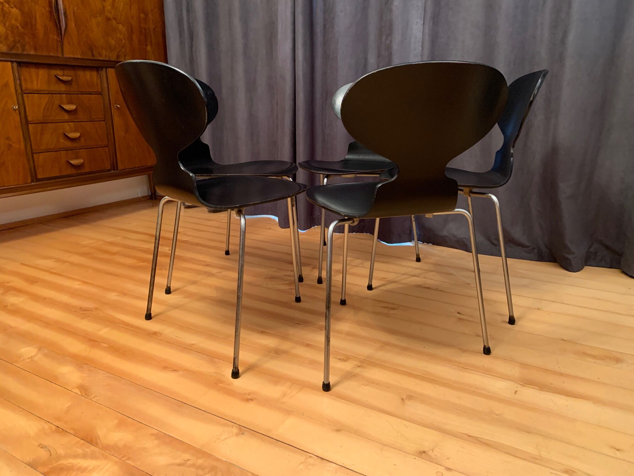 A set of five chairs Early model 3100 by Arne Jacobsen, Fritz Hansen, Denmark, 1963