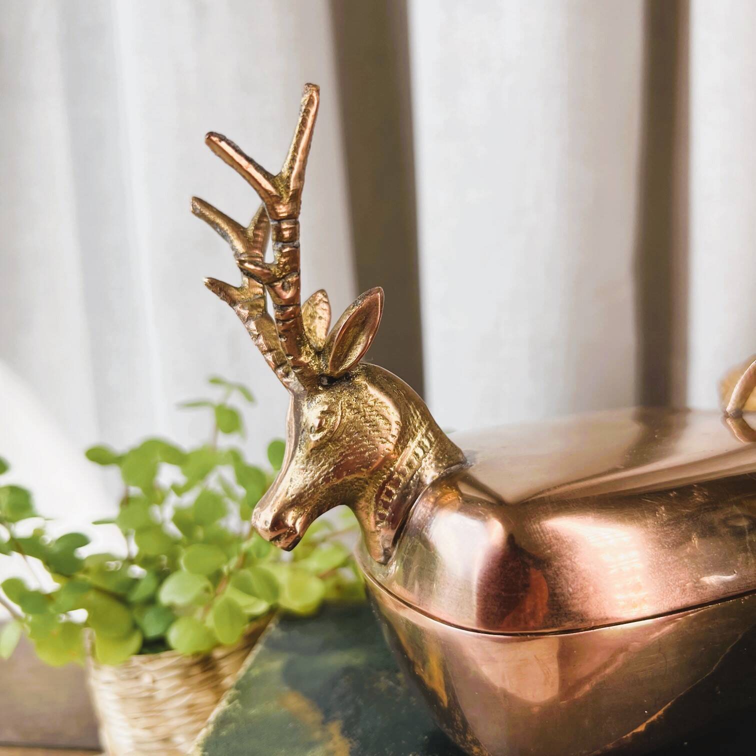 “Deer” brass box