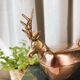 “Deer” brass box