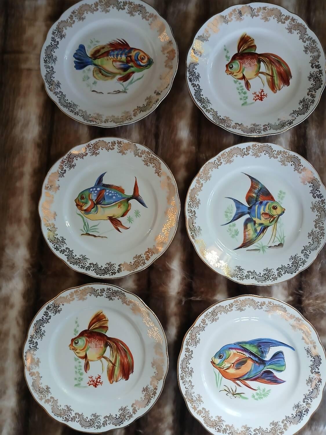 12 antique "Royal" dinner plates + 1 dish