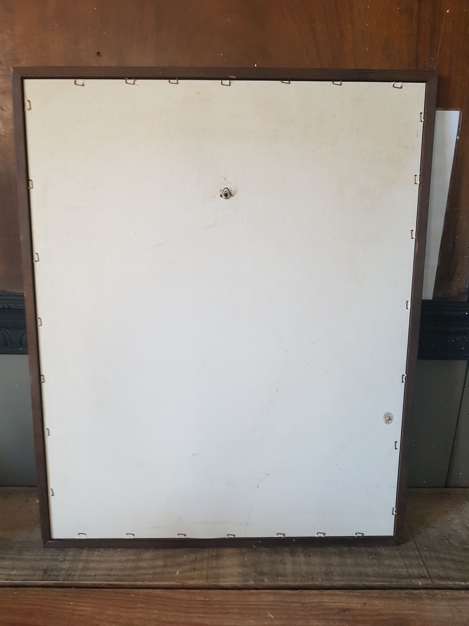 Hazel framed botanical poster