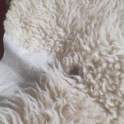 Peau de mouton