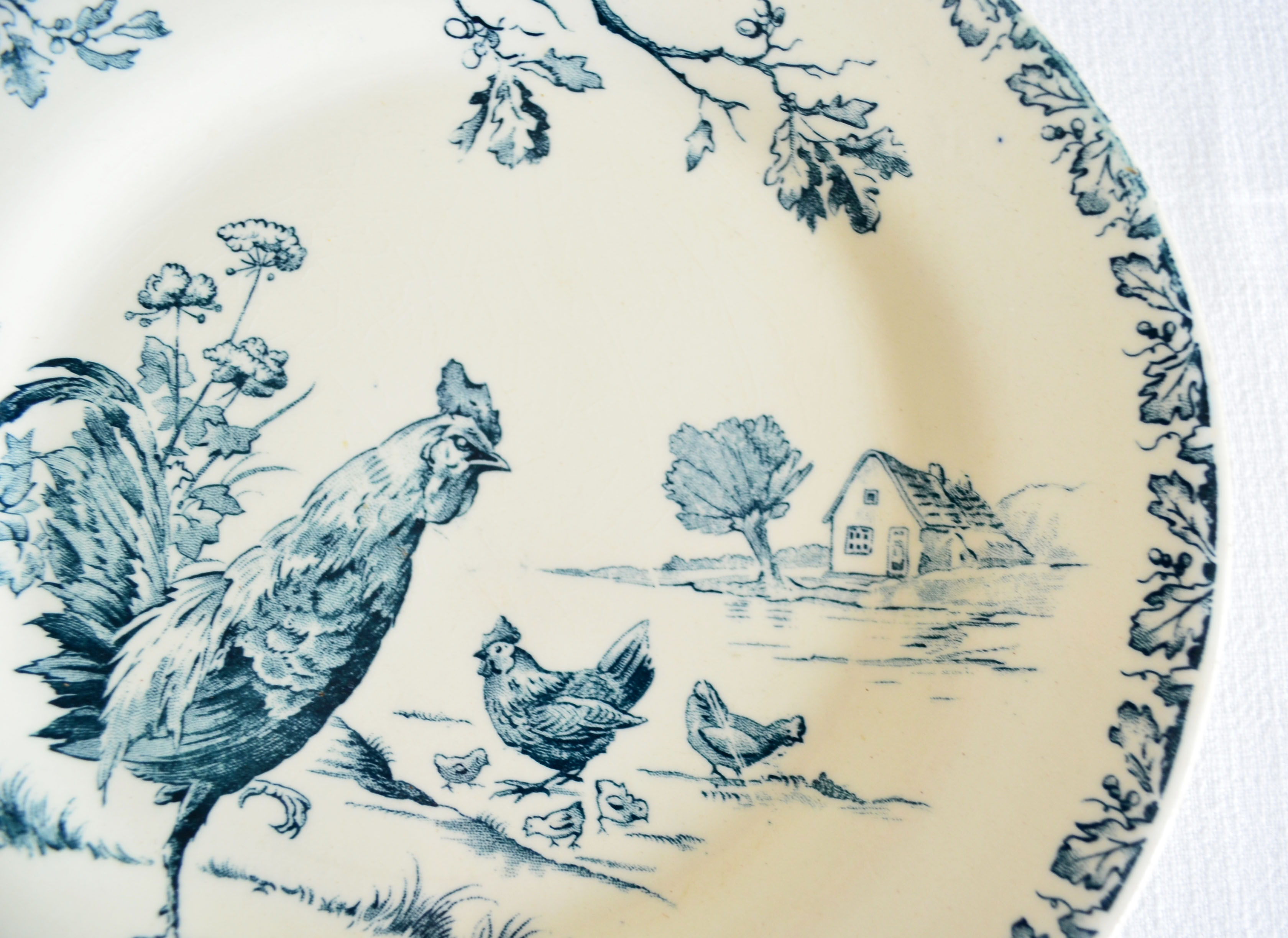 Flat plate porcelain of Gien pattern Roosters