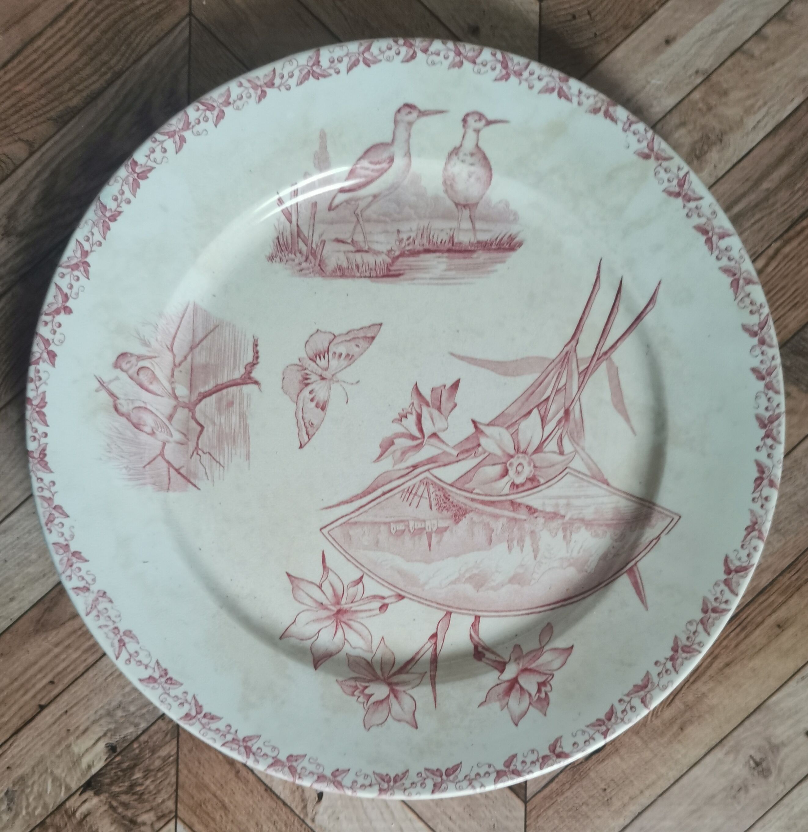 Old plates badonvillier Screen