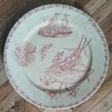 Old plates badonvillier Screen
