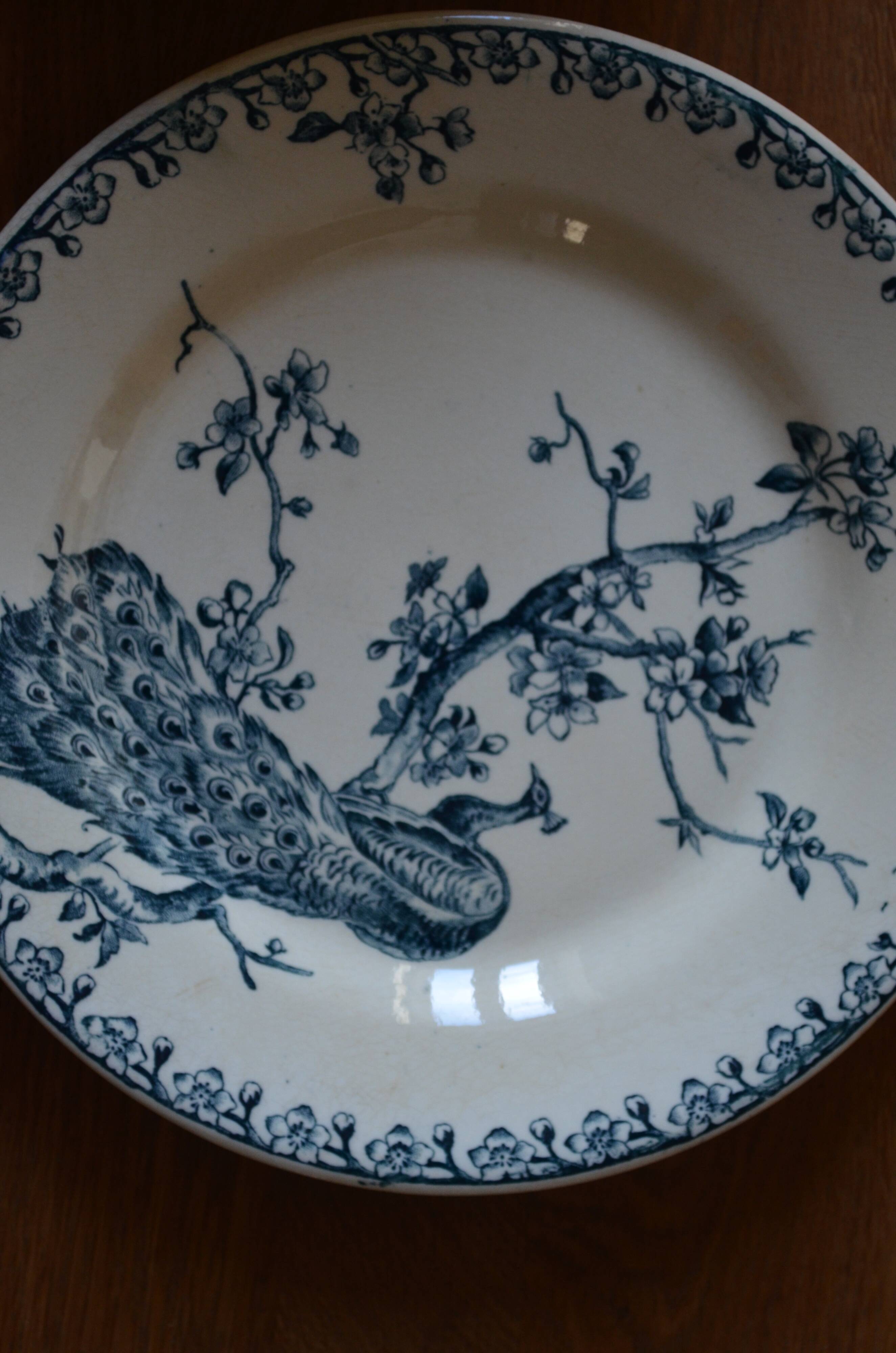 Iron earth peacock pattern service