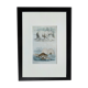 Planche zoologique originale " ours blanc & castor " - buffon 1840