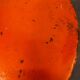 Vintage 70s floor lamp with orange trumpet base