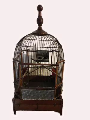 Old bird cage