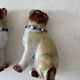 Pair of porcelain pugs Pug dog XIX Germany Saxony Meissen ?