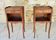 Paire de chevets , Style Louis XV en Palissandre