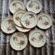 10 vintage Longchamp dinner plates
