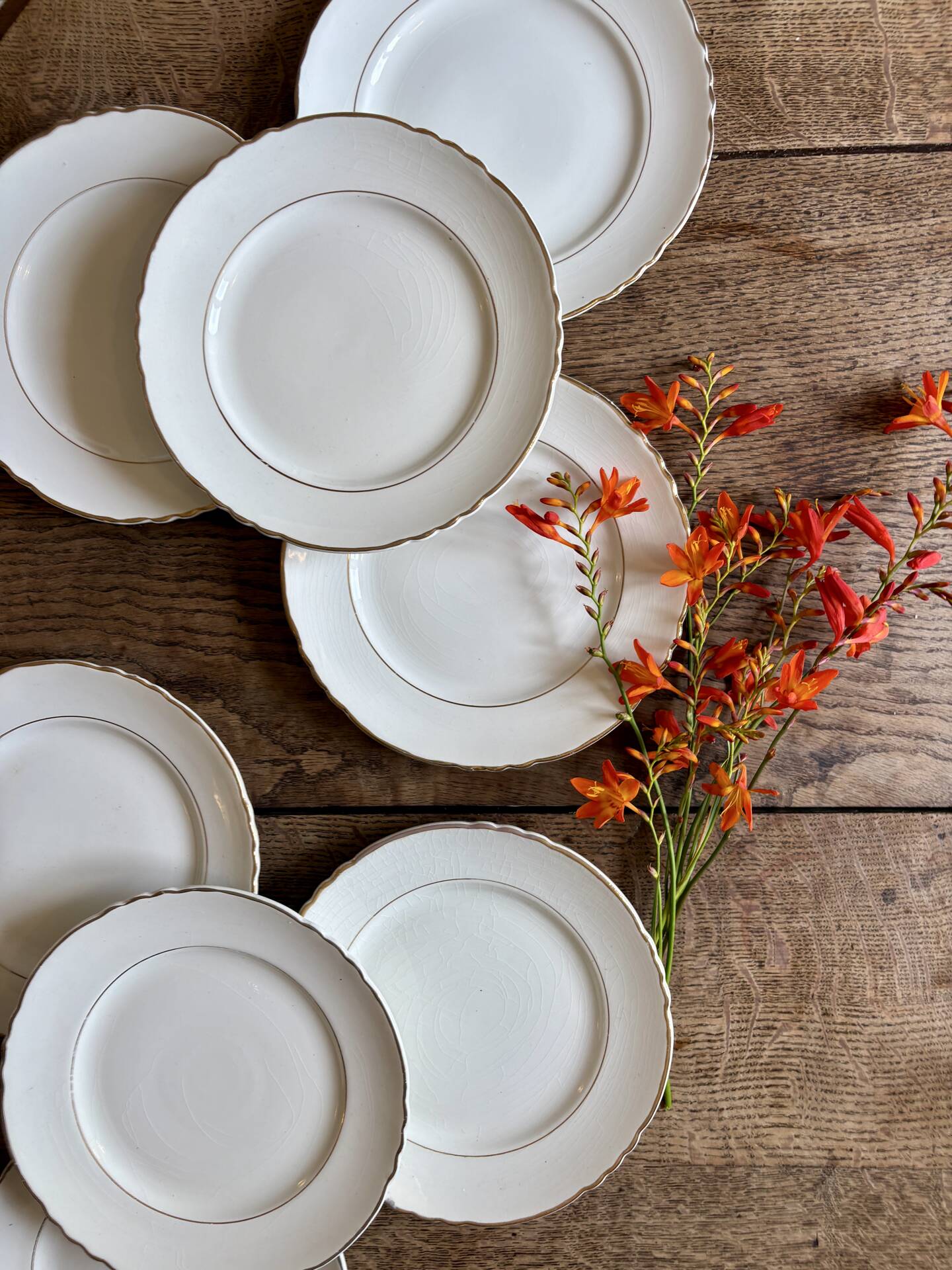 Set of 8 vintage dessert plates Moulin des Loups