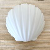 Opaline shell ceiling lamp