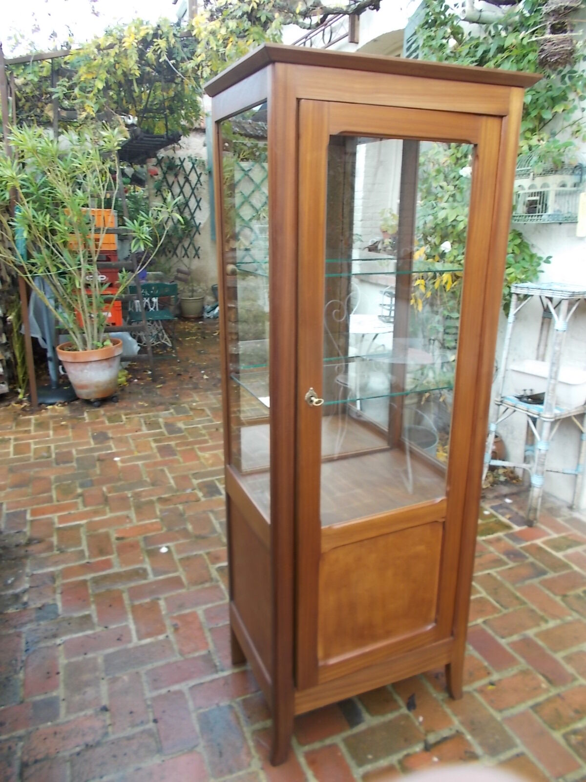 Mahogany showcase