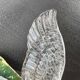 Crystal paperweight "the flight of the bird"