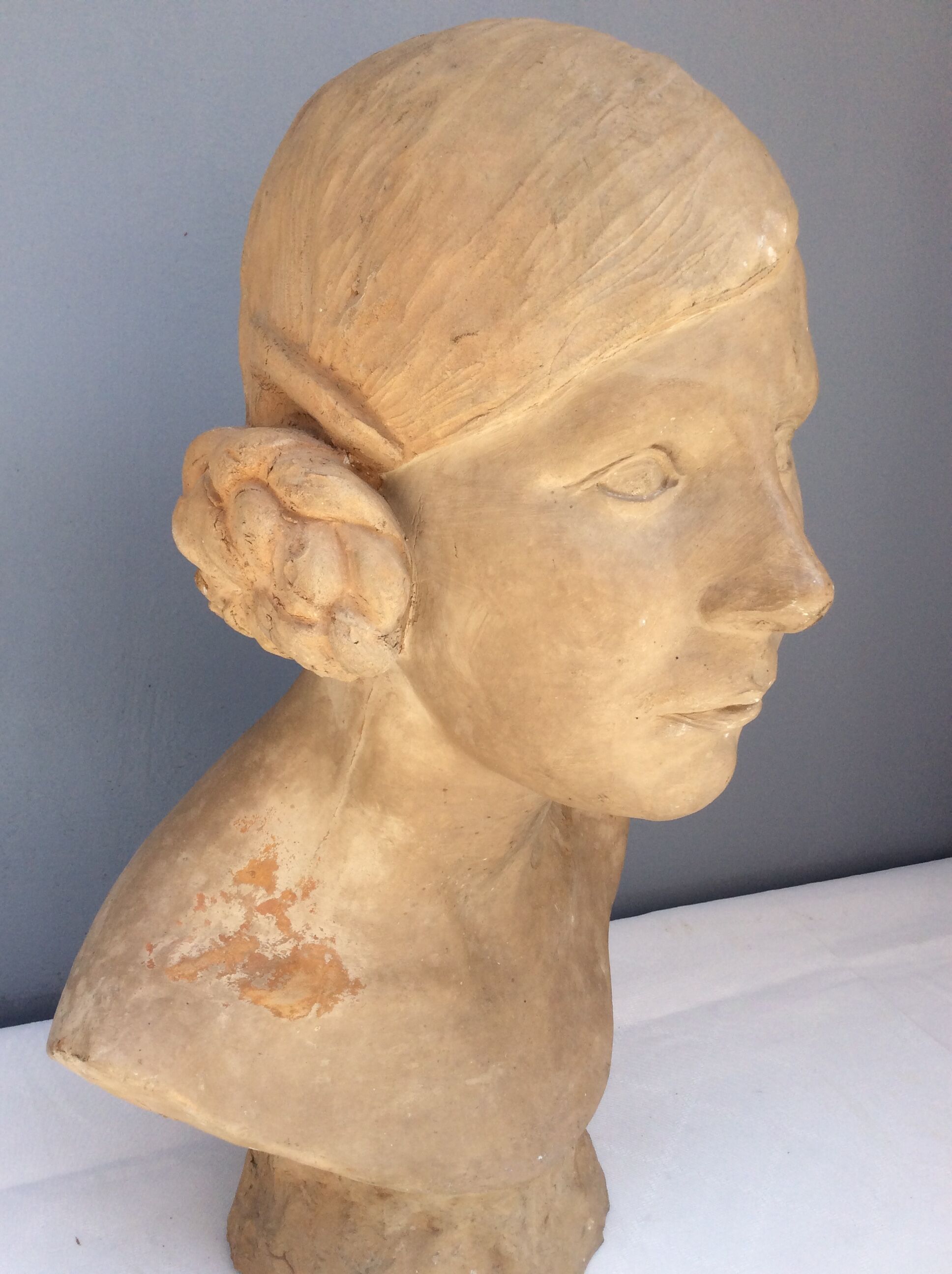 Bust young woman in terracotta, signed, 30s