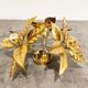 Brass Flower table or ceiling light by Willy Daro, 1970's