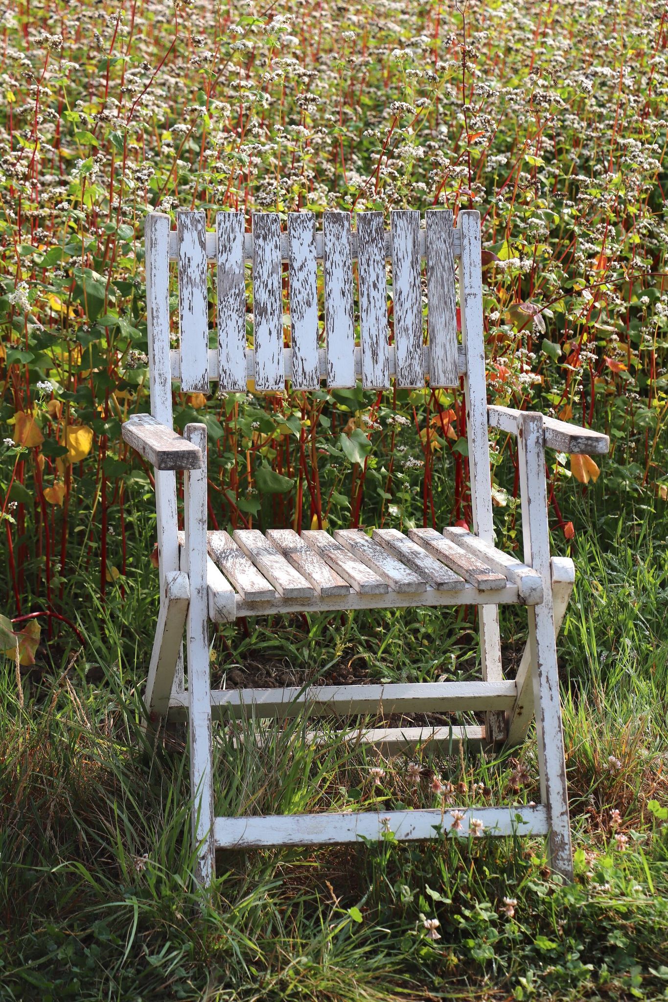 Set of 4 folding garden chairs in slatted wood – 1940 design