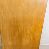 Internship cabinet from the 50s/60s