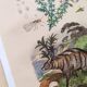 3 Antique Engravings from 1839 - Set of 3 Hand-Colored Plates