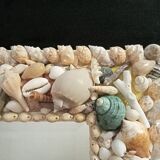 Miroir biseauté, recouvert d'une accumulation de coquillages de collection et de branches de corail