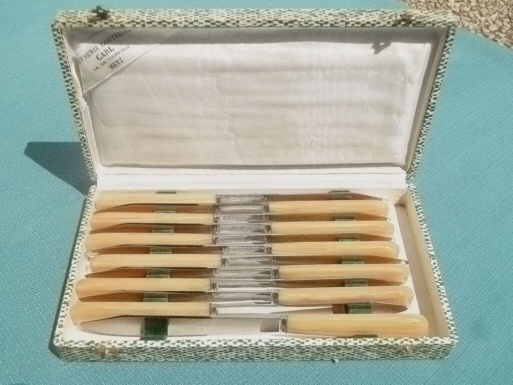 Coffret de 12 couteaux carl