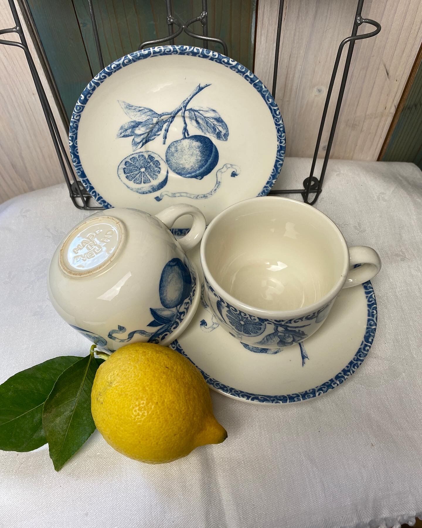 Duo of cups and undercups in English porcelain "Tudor"