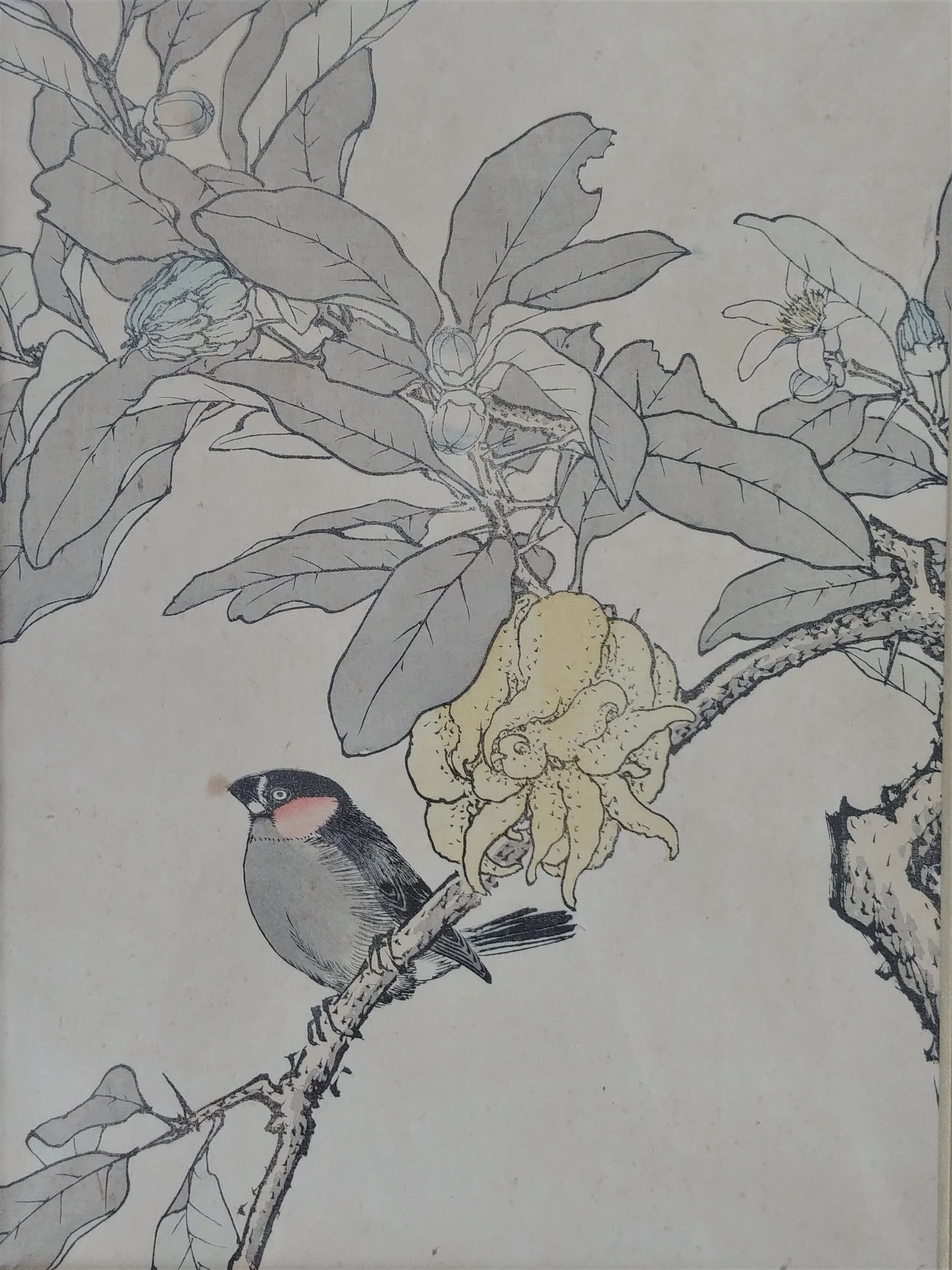 Paire d'estampes japonaises