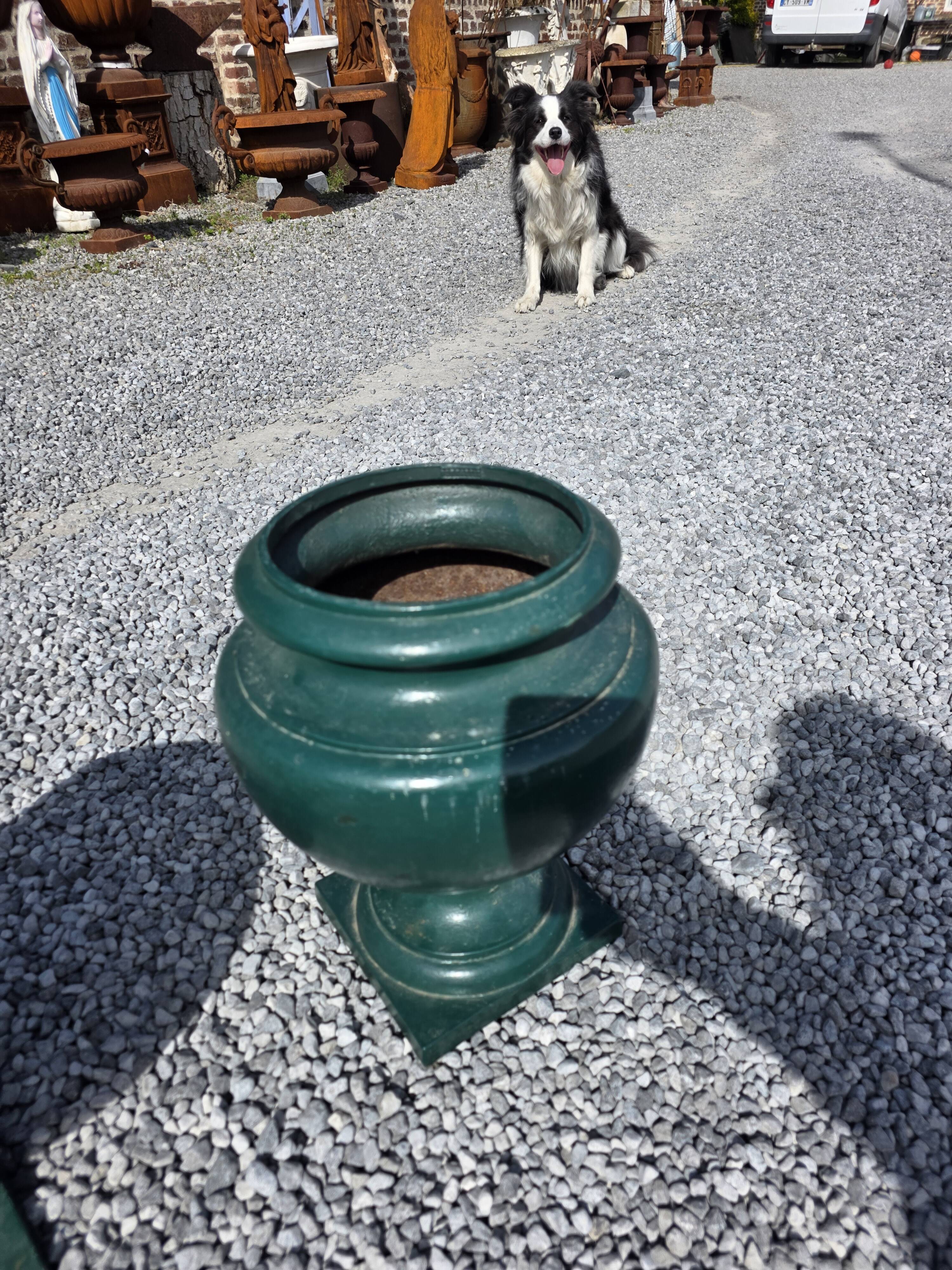 Paire de vases medicis XIXème en fonte