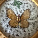 Lot de six sous verres en bambou et papillons