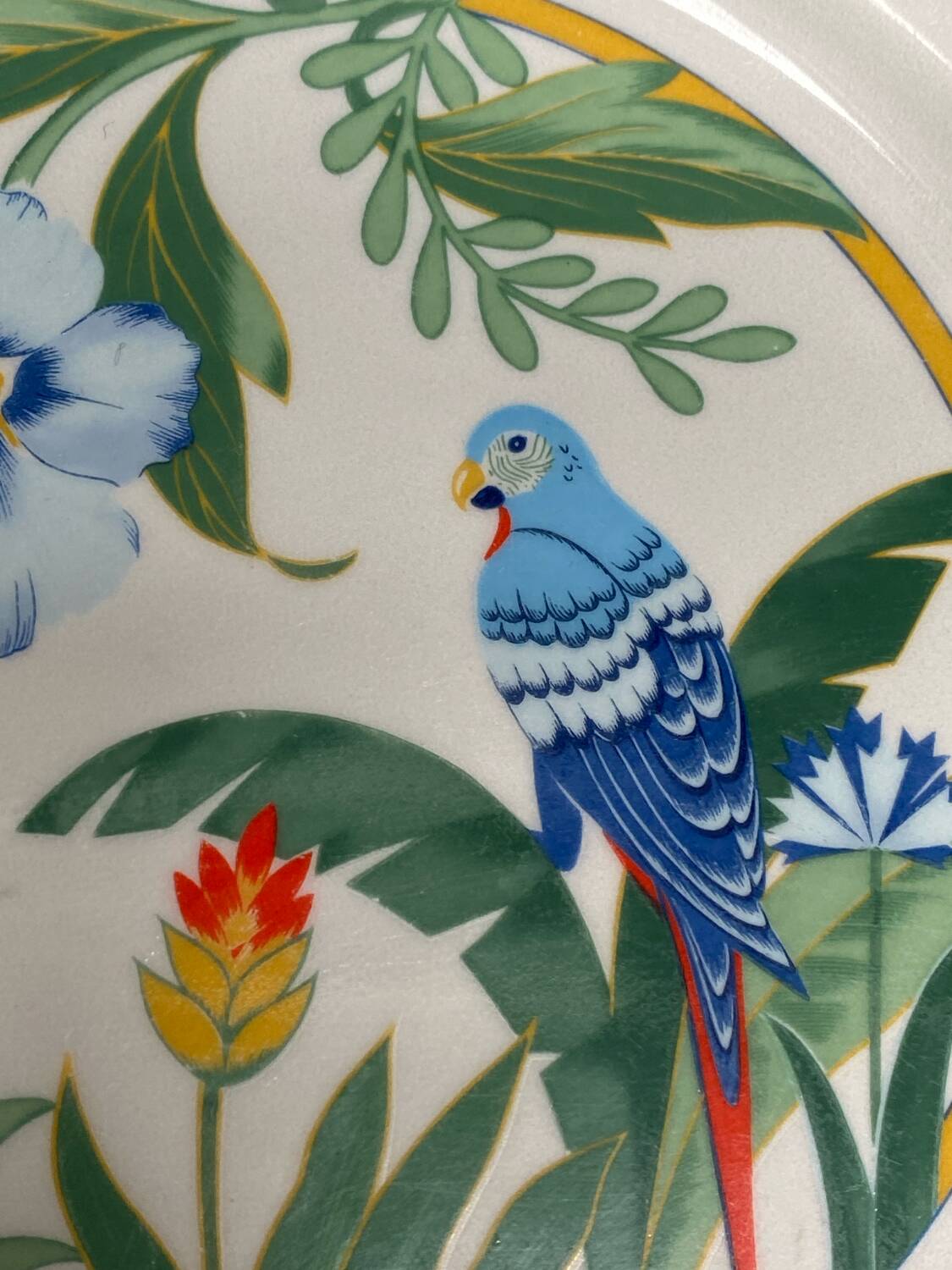 Vintage dinner plates