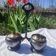 Roux Marquiand Art Deco salt and pepper shakers