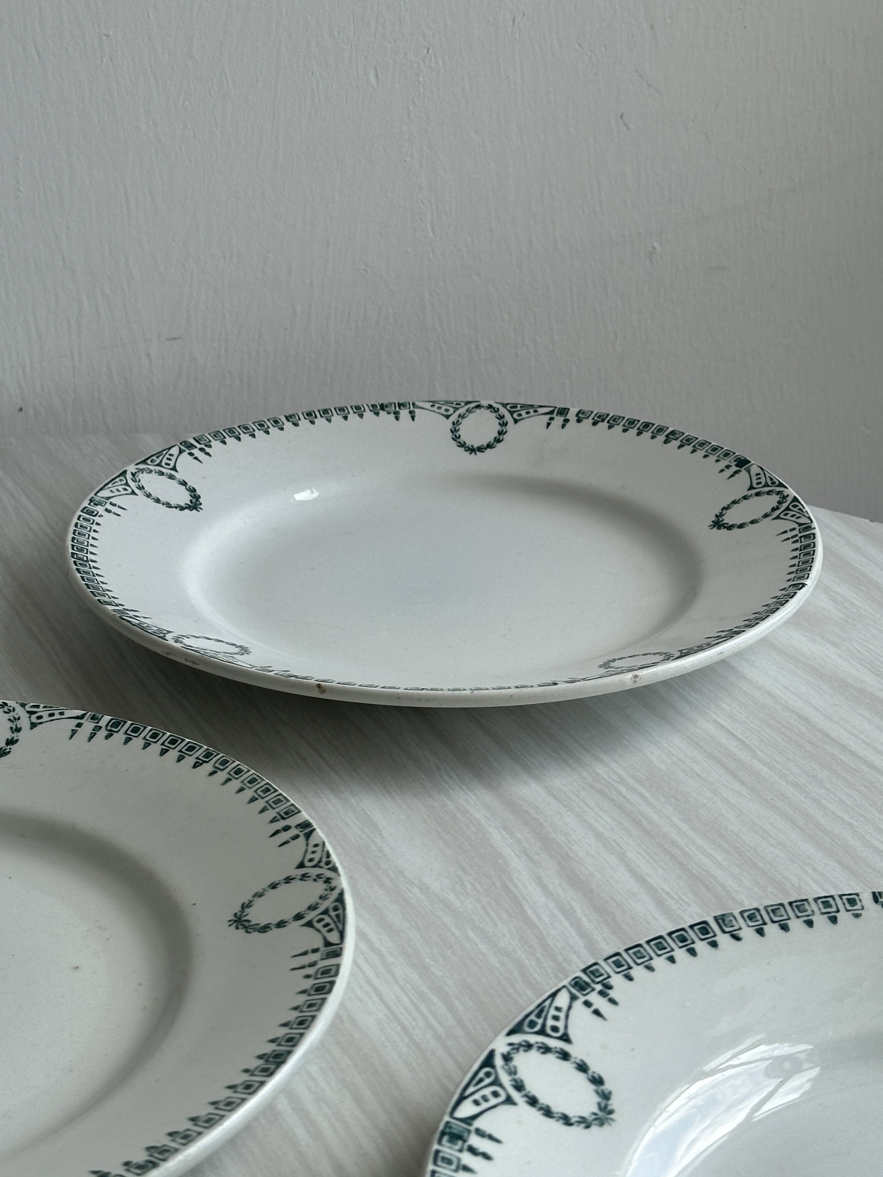 6 earthenware dinner plates, green decor, St Amand Nord iron earth.