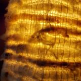 70's ceramic and wool lamp