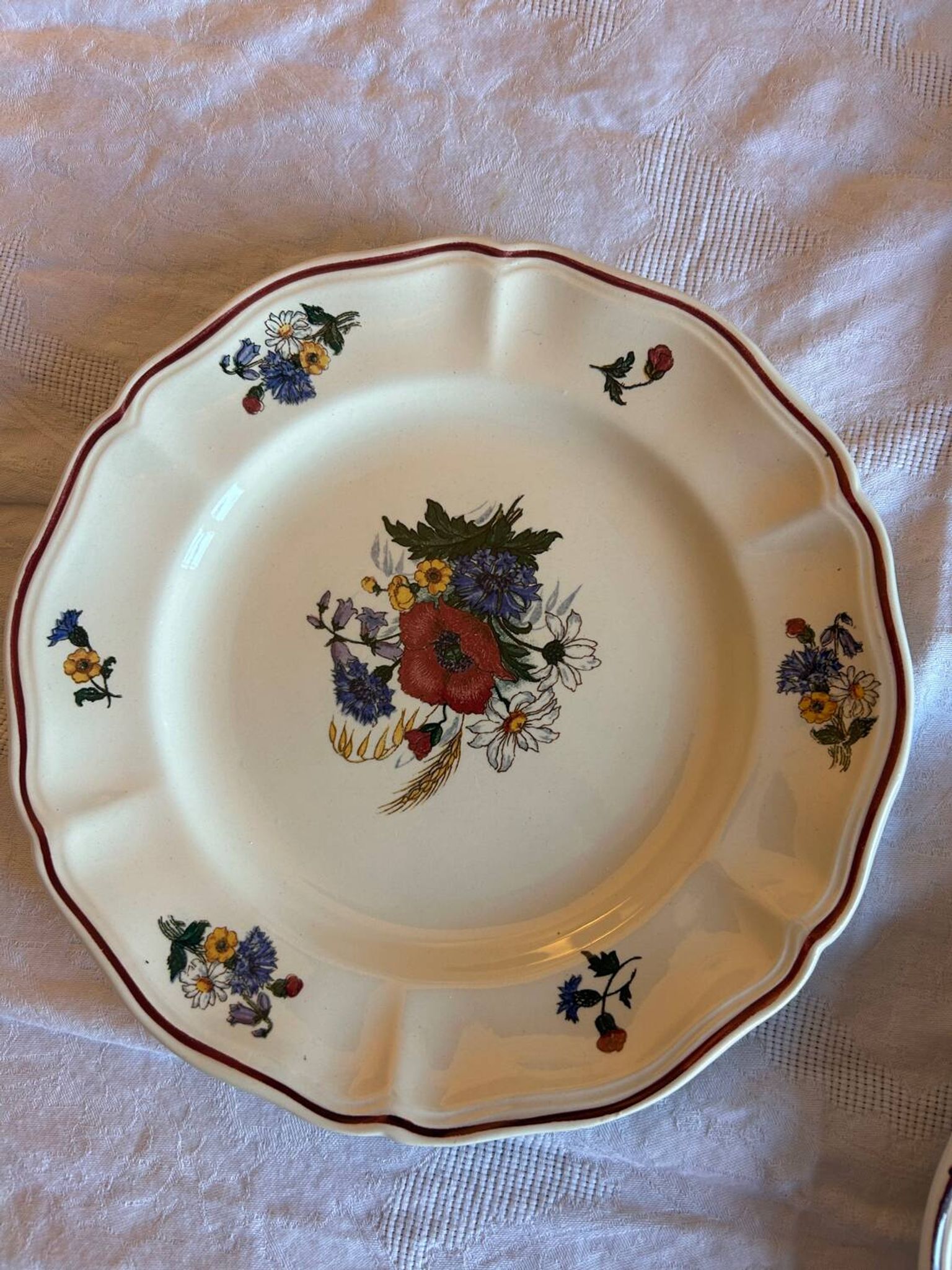 Set of 11 antique plates in Sarreguemines earthenware – Agre decoration