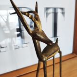 Antelope