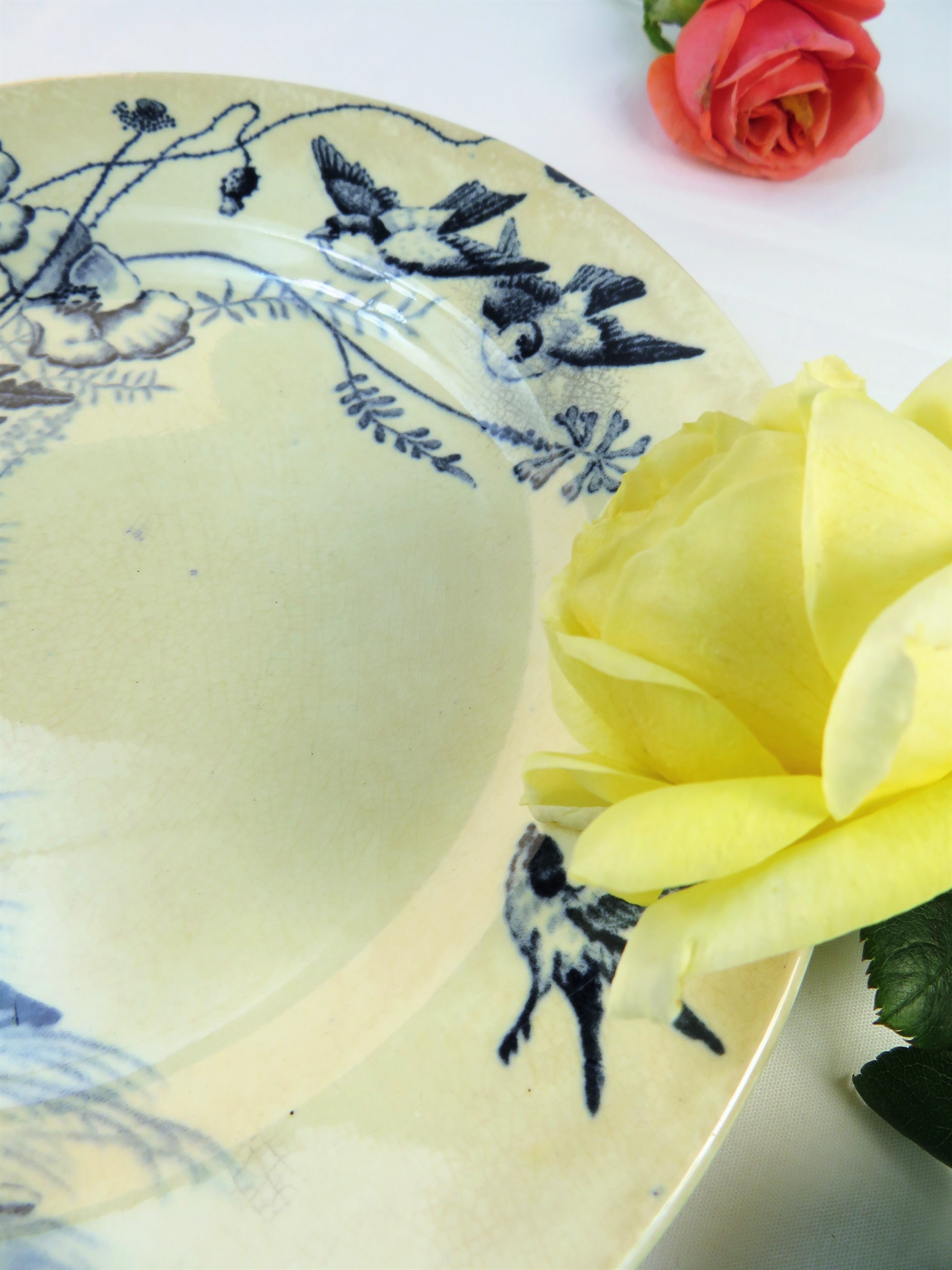 Plate decorated with Birds Signed Jules Vieillard & Cie Bordeaux