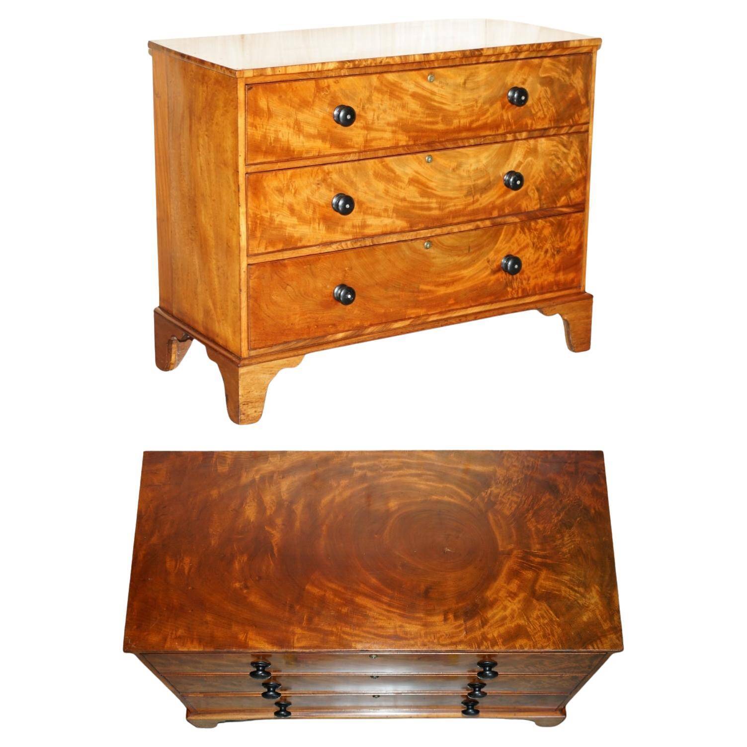 Victorian Chest of Drawers in Satin Walnut, Circa 1860