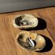 Dark beige oval petrified wood bowl 25x19 - 3782