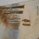 Oil on canvas snowy landscape