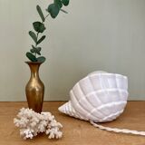 Vintage shell lamp in ceramic and white opaline