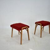 1960s Ludvik Volak beech stools by Drevopodnik Holesov, Czechoslovakia